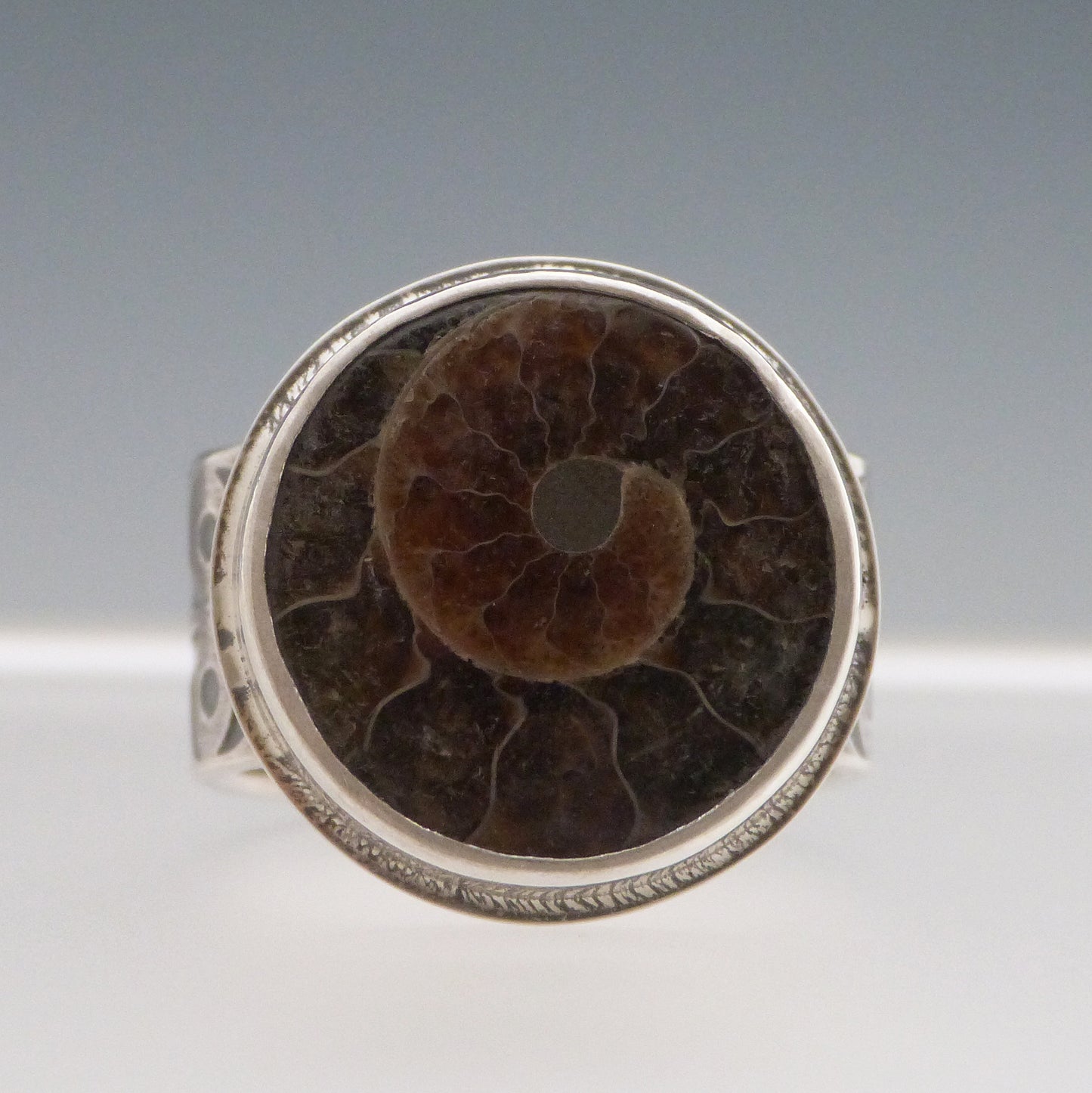 Fossilized Ammonite Gemstone Ring