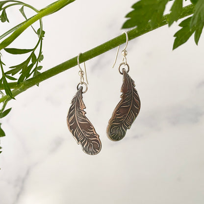 Curved Feather Earrings