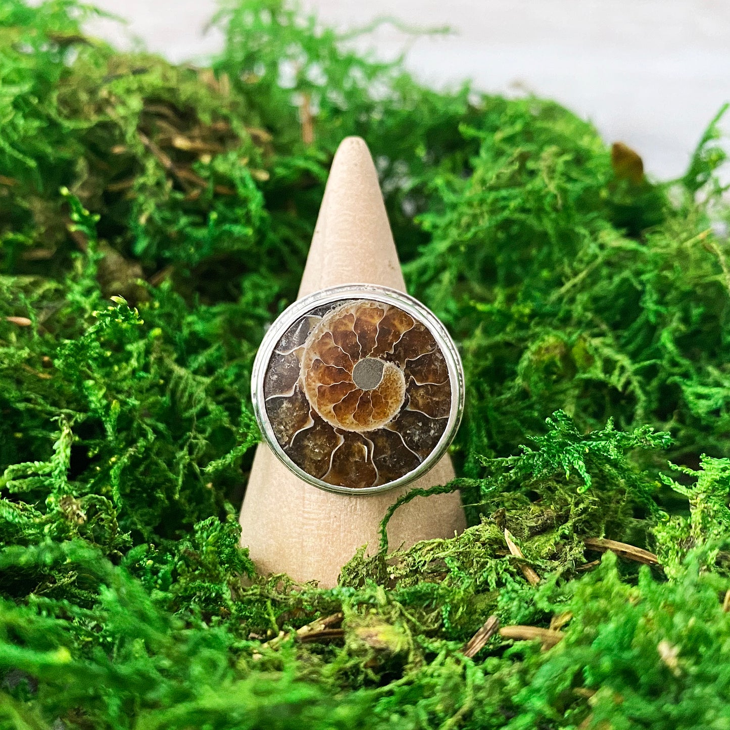 Fossilized Ammonite Gemstone Ring