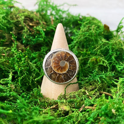 Fossilized Ammonite Gemstone Ring