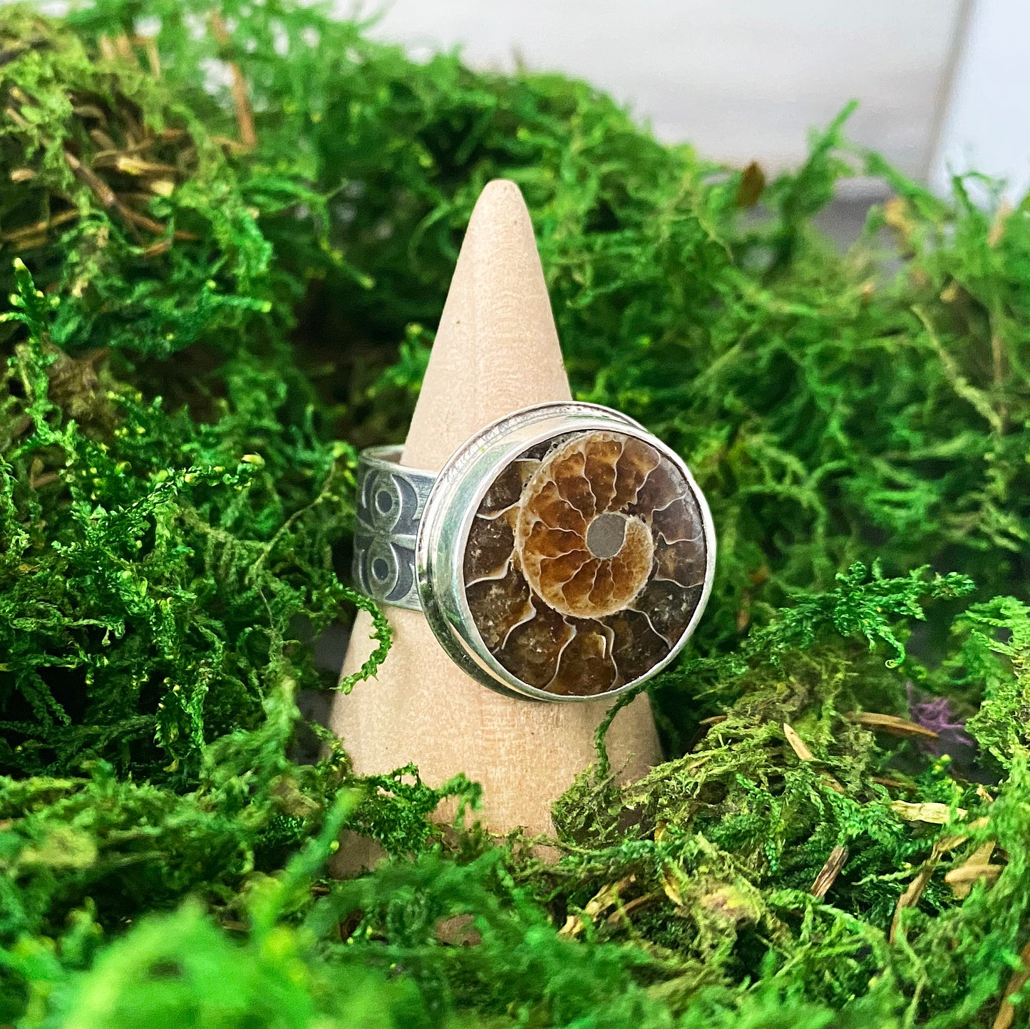 Fossilized Ammonite Gemstone Ring