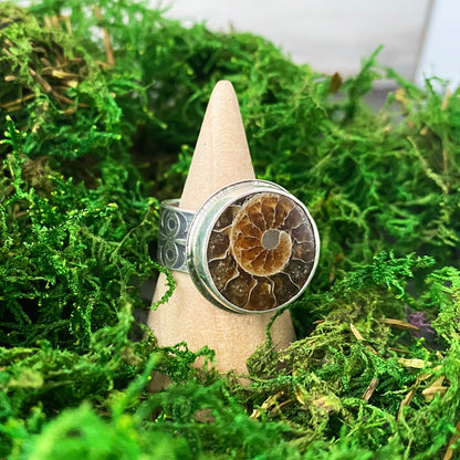 Fossilized Ammonite Gemstone Ring