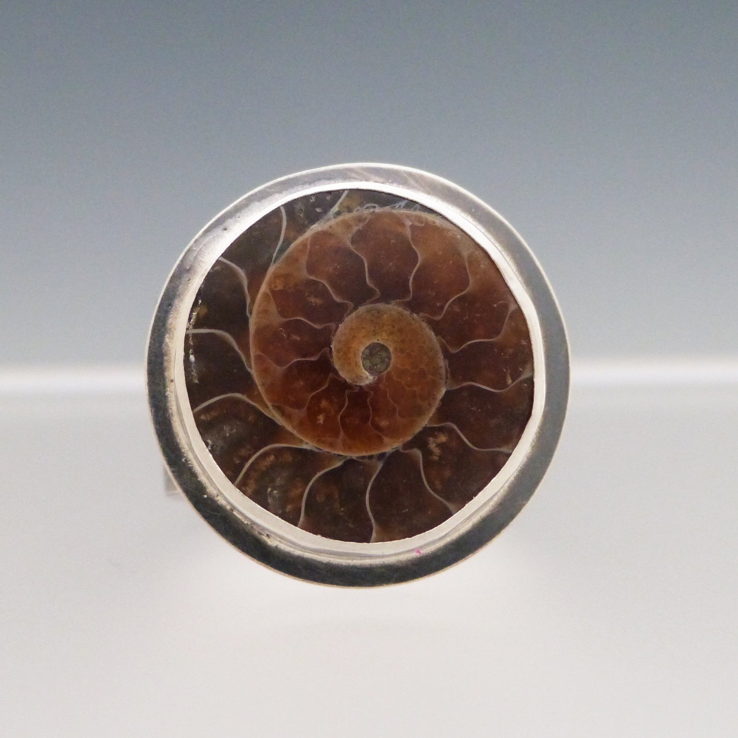 Fossilized Ammonite Gemstone Ring
