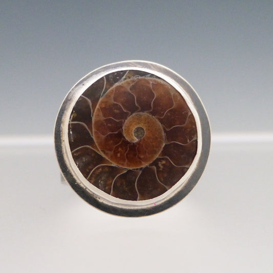 Fossilized Ammonite Gemstone Ring